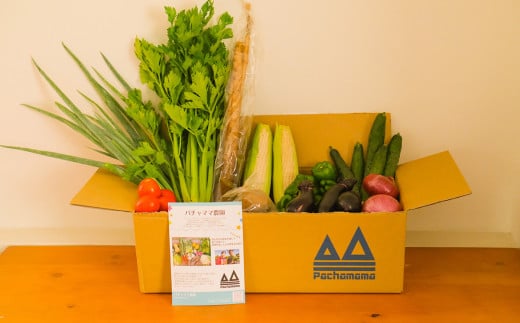 【 2ヶ月連続お届け 】 農園自慢の情熱野菜セット （ 9品 ）【 野菜 詰め合わせ お任せ 季節物 定期便 セット 山芋 パセリ わさび菜 ポップコーン かぶ 人参 里芋 たまねぎ 玉ねぎ ルッコラ ほうれん草 春菊 大根 芽キャベツ レタス じゃがいも さつまいも とうもろこし そら豆 枝豆 パクチー ビーツ ほうれん草 キャベツ ピーマン なすトマト かぼちゃ 】 【2ヶ月】農園自慢の情熱野菜セット(9品) | 20,000円