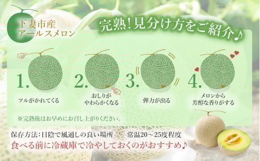 【 先行予約 】 茨城県産 アールスメロン 約7.5kg （ 3 ～ 6個 ）【 2026年9月上旬～10月上旬ごろ発送予定 】【 国産メロン 茨城県産メロン メロンの王様 高級メロン めろん  果物 くだもの フルーツ 季節限定 人気 贈り物 お取り寄せ プレゼント 厳選 デザート マスクメロン ムスク マスク 】 約7.5kg（青肉）