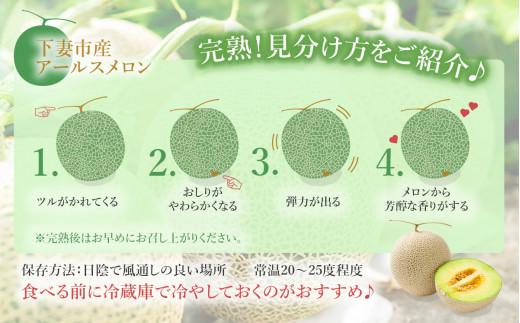 【 先行予約 】 茨城県産 アールスメロン 約2.5kg （ 2個 ）【 2026年9月上旬～10月上旬ごろ発送予定 】【 国産メロン 茨城県産メロン メロンの王様 高級メロン めろん  果物 くだもの フルーツ 季節限定 人気 贈り物 お取り寄せ プレゼント 厳選 デザート マスクメロン ムスク マスク 】 約2.5kg（青肉）
