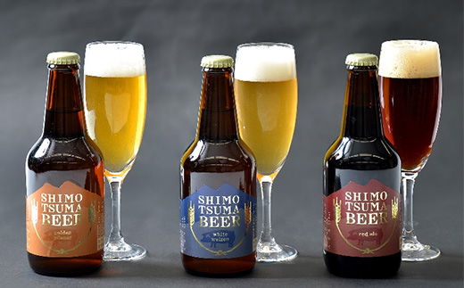 【 クラフトビール × おつまみセット 】ビール 3本 ジャーキー 3種【 ビール クラフトビール ポークジャーキー ビーフジャーキー ソフトジャーキー 手作りジャーキー 飲み比べ 宅飲み ビール飲み比べ おつまみ 】