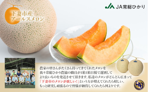 【 先行予約 】 茨城県産 アールスメロン 「 赤 」 約7.5kg （ 3～6個 ）【 2026年9月上旬～10月上旬ごろ発送予定 】【 国産メロン 茨城県産メロン メロンの王様 高級メロン めろん  果物 くだもの フルーツ 季節限定 人気 贈り物 お取り寄せ プレゼント 厳選 デザート マスクメロン ムスク マスク 】 約7.5kg（赤肉）