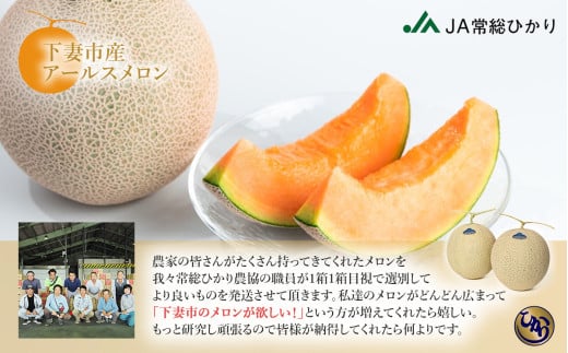 【 先行予約 】 茨城県産 アールスメロン 「 赤 」 【 秀品 】 1個 【 2026年9月上旬 ～ 10月上旬ごろ発送予定 】【 国産メロン 茨城県産メロン メロンの王様 高級メロン めろん  果物 くだもの フルーツ 季節限定 人気 贈り物 お取り寄せ プレゼント 厳選 デザート マスクメロン ムスク マスク 】 1個（赤肉）