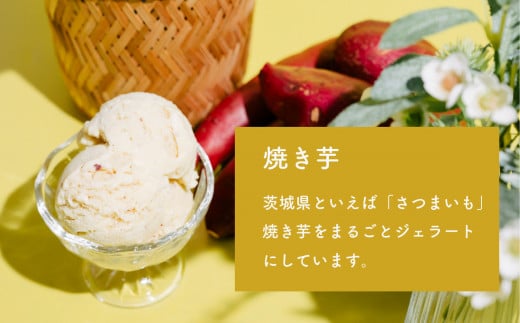 選べる特製ジェラート 1L x 2個 [ メロン ] [ いちごミルク ] 【 アイス ジェラート アイスクリーム デザート スイーツ 組み合わせ自由 業務用 バルク 】 メロン1L × いちごミルク1L | 10,000円