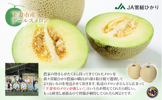 【 先行予約 】 茨城県産 アールスメロン 約2.5kg （ 2個 ）【 2026年9月上旬～10月上旬ごろ発送予定 】【 国産メロン 茨城県産メロン メロンの王様 高級メロン めろん  果物 くだもの フルーツ 季節限定 人気 贈り物 お取り寄せ プレゼント 厳選 デザート マスクメロン ムスク マスク 】 約2.5kg（青肉）