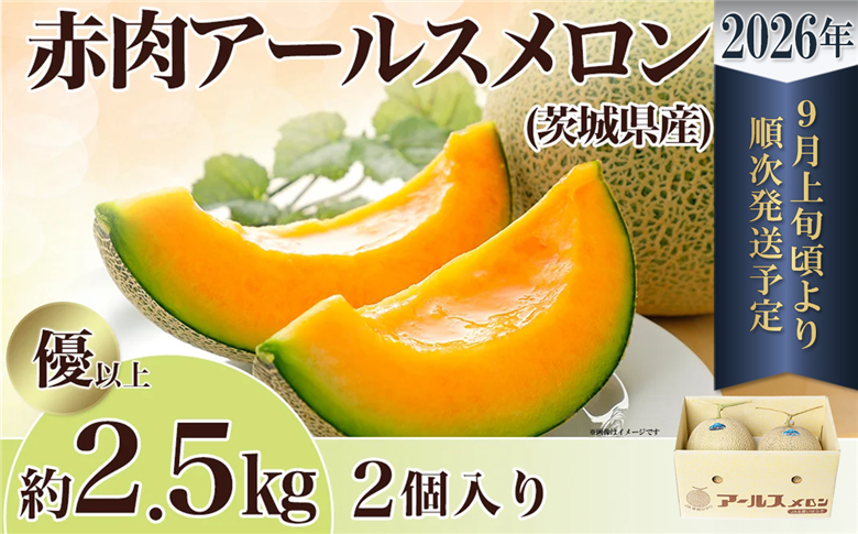 【 先行予約 】 茨城県産 アールスメロン 「 赤 」 約2.5kg （ 2個 ）【 2026年9月上旬～10月上旬ごろ発送予定 】【 国産メロン 茨城県産メロン メロンの王様 高級メロン めろん  果物 くだもの フルーツ 季節限定 人気 贈り物 お取り寄せ プレゼント 厳選 デザート マスクメロン ムスク マスク 】 約2.5kg（赤肉）