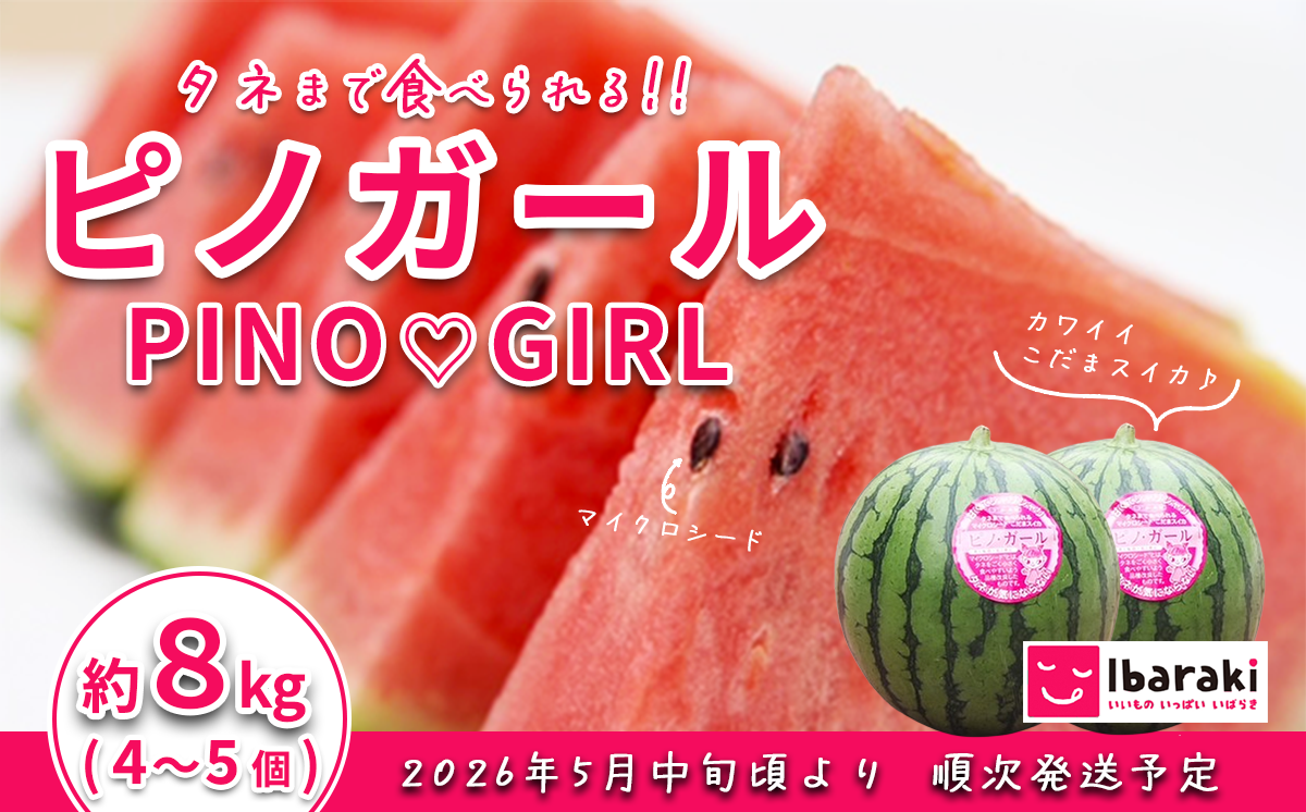 【 先行予約 】茨城県産 ピノガール 約8kg （ 4 ～ 5個 ） 【 2026年5月中旬～6月中旬ごろ発送予定 】 【 こだますいか 小玉すいか スイカ 西瓜 果物 くだもの フルーツ 国産 季節限定 人気 贈り物 お取り寄せ プレゼント 厳選 デザート 】