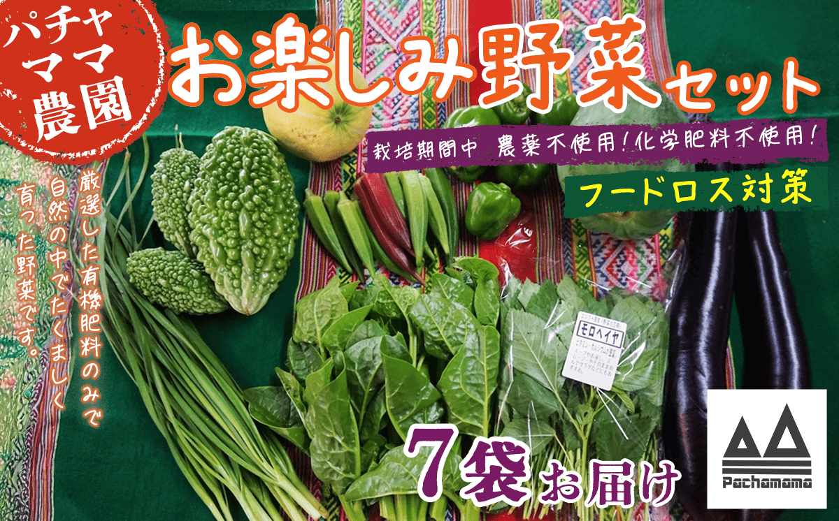 【 訳あり 】 お楽しみ野菜セット （ 7袋 ）【 フードロス対策 】【 野菜 詰め合わせ お任せ 訳あり フードロス 季節物 セット 山芋 パセリ かぶ 人参 里芋 たまねぎ 玉ねぎ ルッコラ ほうれん草 春菊 大根 芽キャベツ レタス じゃがいも さつまいも とうもろこし そら豆 枝豆 パクチー ビーツ ほうれん草 キャベツ ピーマン なすトマト かぼちゃ 】 【単品】お楽しみ野菜セット （ 7袋 ）｜寄付金額：7,000円