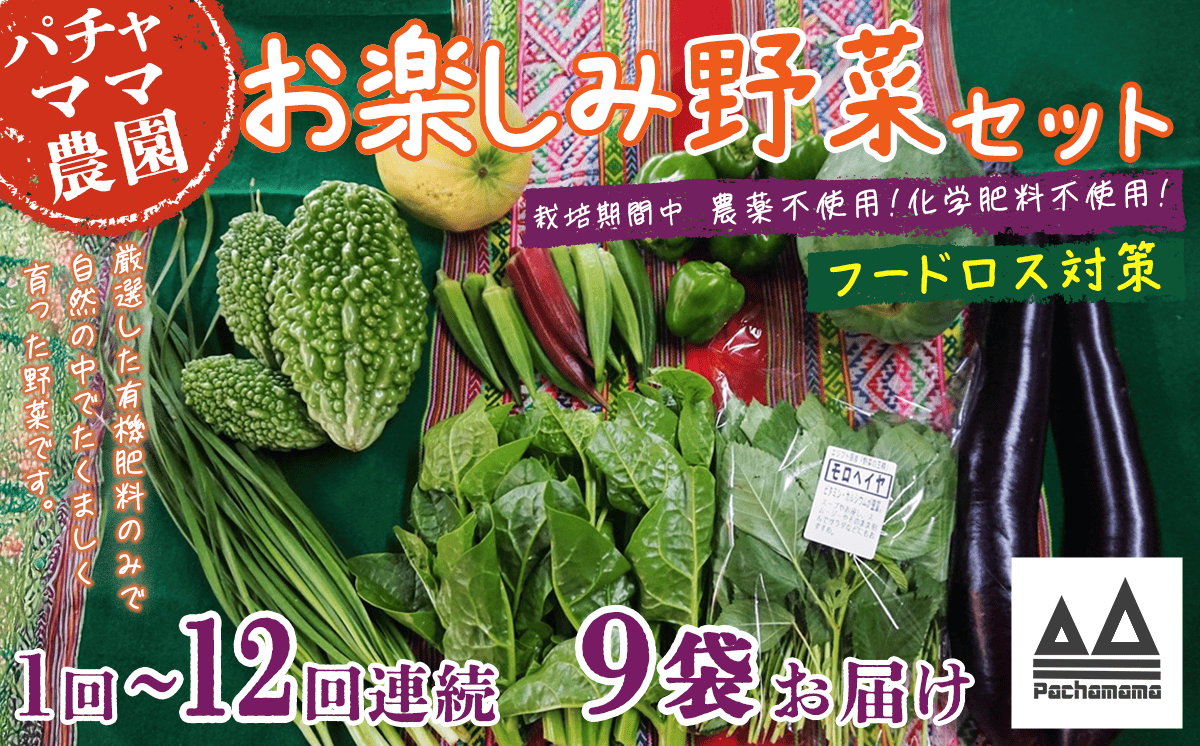 【 訳あり 】 お楽しみ野菜セット （ 9袋 ）【 フードロス対策 】【 野菜 詰め合わせ お任せ 訳あり フードロス 季節物 セット 山芋 パセリ かぶ 人参 里芋 たまねぎ 玉ねぎ ルッコラ ほうれん草 春菊 大根 芽キャベツ レタス じゃがいも さつまいも とうもろこし そら豆 枝豆 パクチー ビーツ ほうれん草 キャベツ ピーマン なすトマト かぼちゃ 】 【単品】お楽しみ野菜セット （ 9袋 ）｜寄付金額：9,000円