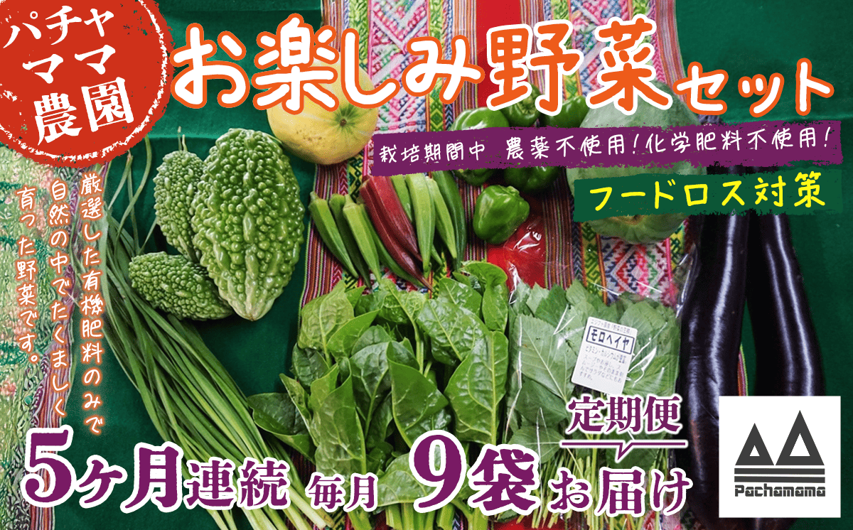 【 訳あり 】【 5ヶ月連続お届け 】 お楽しみ野菜セット （ 9袋 ）【 フードロス対策 】【 野菜 詰め合わせ お任せ 訳あり フードロス 季節物 セット 山芋 パセリ かぶ 人参 里芋 たまねぎ 玉ねぎ ルッコラ ほうれん草 春菊 大根 芽キャベツ レタス じゃがいも さつまいも とうもろこし そら豆 枝豆 パクチー ビーツ ほうれん草 キャベツ ピーマン なすトマト かぼちゃ 】 【5ヶ月】お楽しみ野菜セット （ 9袋 ）｜寄付金額：45,000円