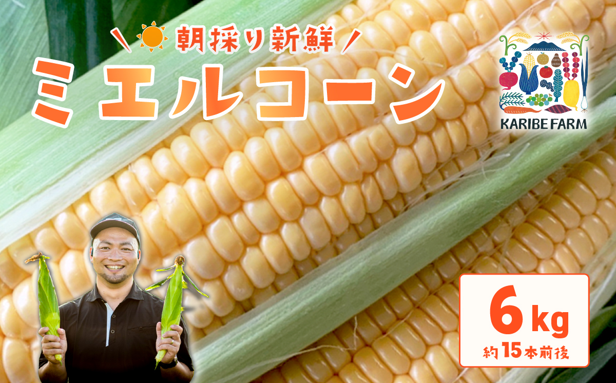 【先行予約】下妻産 朝採りとうもろこし （ ミエルコーン ） 約6kg 【 とうもろこし とうきび トウモロコシ ジューシー 甘い 蜂蜜 はちみつ ミエル Miel スイーツ デザート ミエルコーン 人気 野菜 新鮮 おすすめ スイートコーン 】[SZR]