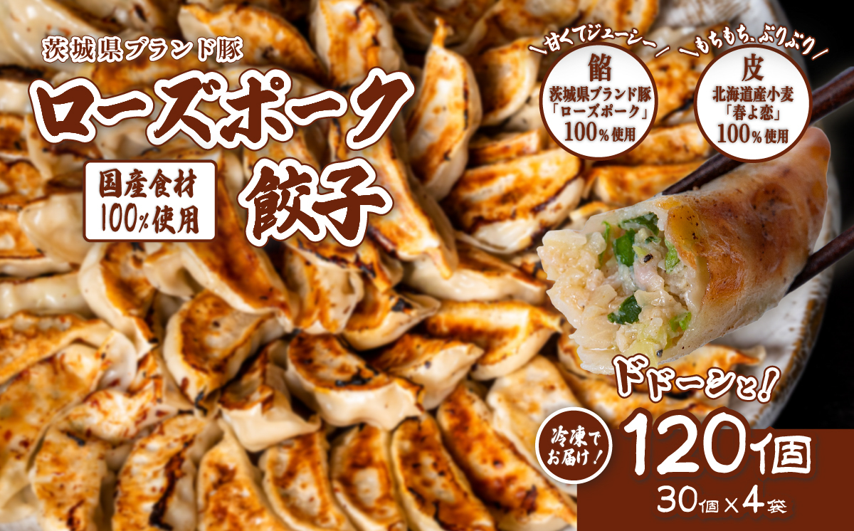 ローズポーク餃子 ドドーンと 120個 ( 冷凍 30個 × 4袋)【 茨城県産 ローズポーク 豚肉 キャベツ 北海道産小麦 春よ来 使用 もちもち ぷりぷり 皮 ギョウザ ギョーザ チャオズ 中華 餃子人気 飲茶 】