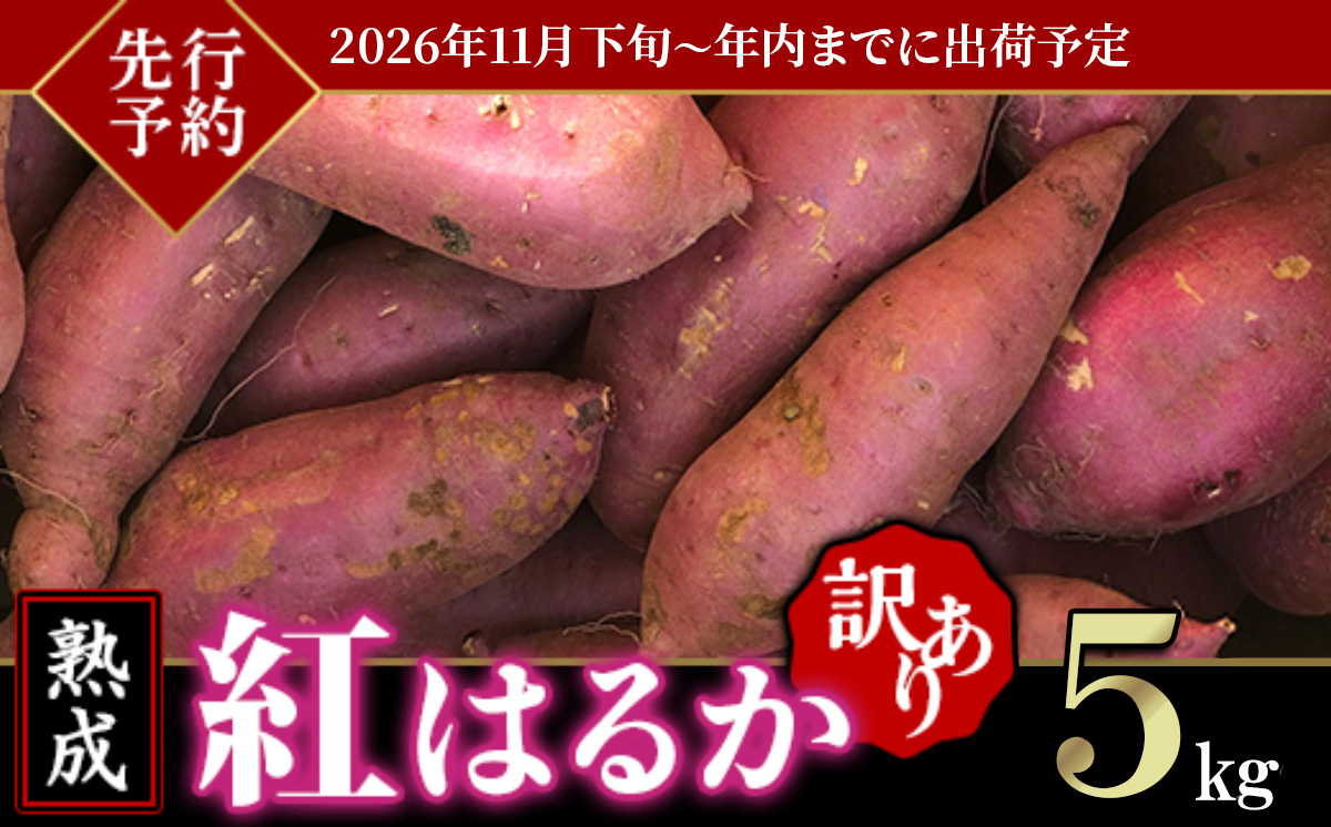 【 先行予約 】【 訳あり 】茨城県産 熟成さつまいも「 紅はるか 」 5kg 【 2026年11月下旬頃～年内までに出荷 】【 さつまいも 紅はるか 芋 サツマイモ 甘い 焼き芋 スイートポテト 茨城県産 大容量 不揃い ねっとり 】 紅はるか 5kg | 5,000円 (年内出荷分)