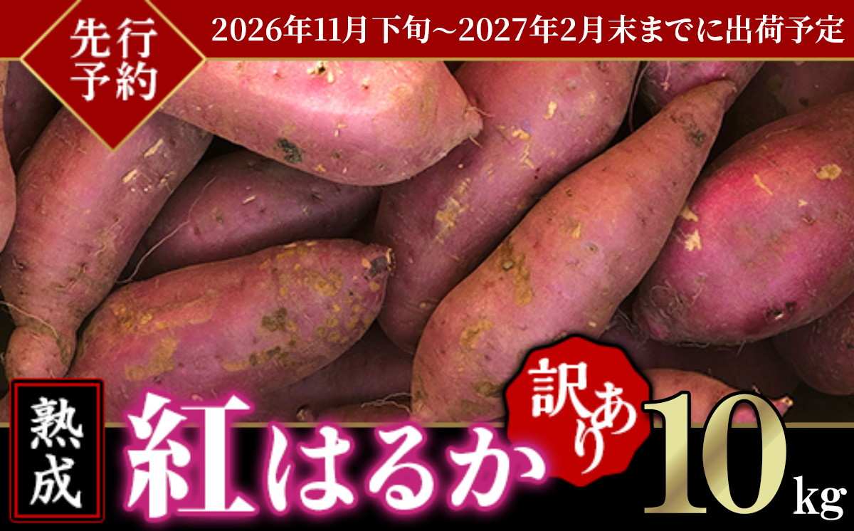 【 先行予約 】【 訳あり 】茨城県産 熟成さつまいも 「 紅はるか 」 10kg 【 2026年11月下旬～2027年2月末までに出荷予定 】【 さつまいも 紅はるか 芋 サツマイモ 甘い 焼き芋 スイートポテト 茨城県産 大容量 不揃い ねっとり 】 紅はるか 10kg | 8,000円 ※発送時期はお選び頂けません。