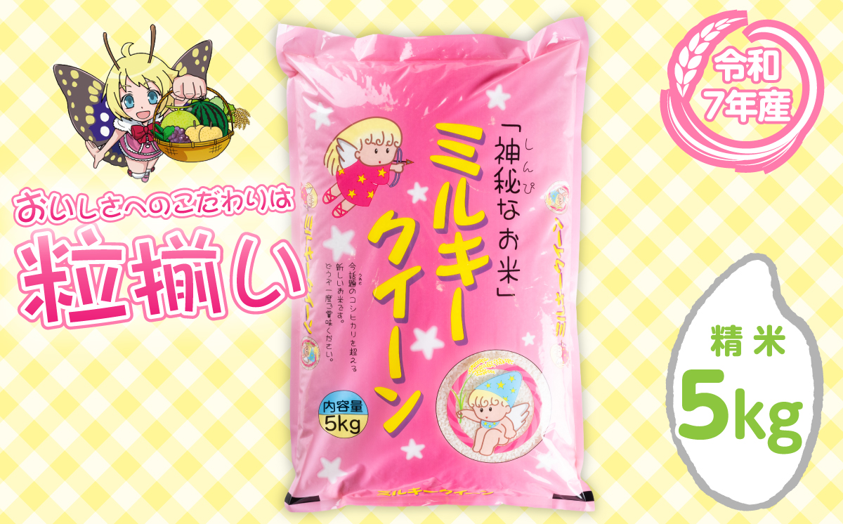 【最短7日発送】精米 ミルキークイーン 5kg 茨城県下妻市産 【 お米 米 白米 ご飯 こめ ミルキークイーン 令和7年産 茨城県産 】 精米ミルキークイーン5kg | 9,000円