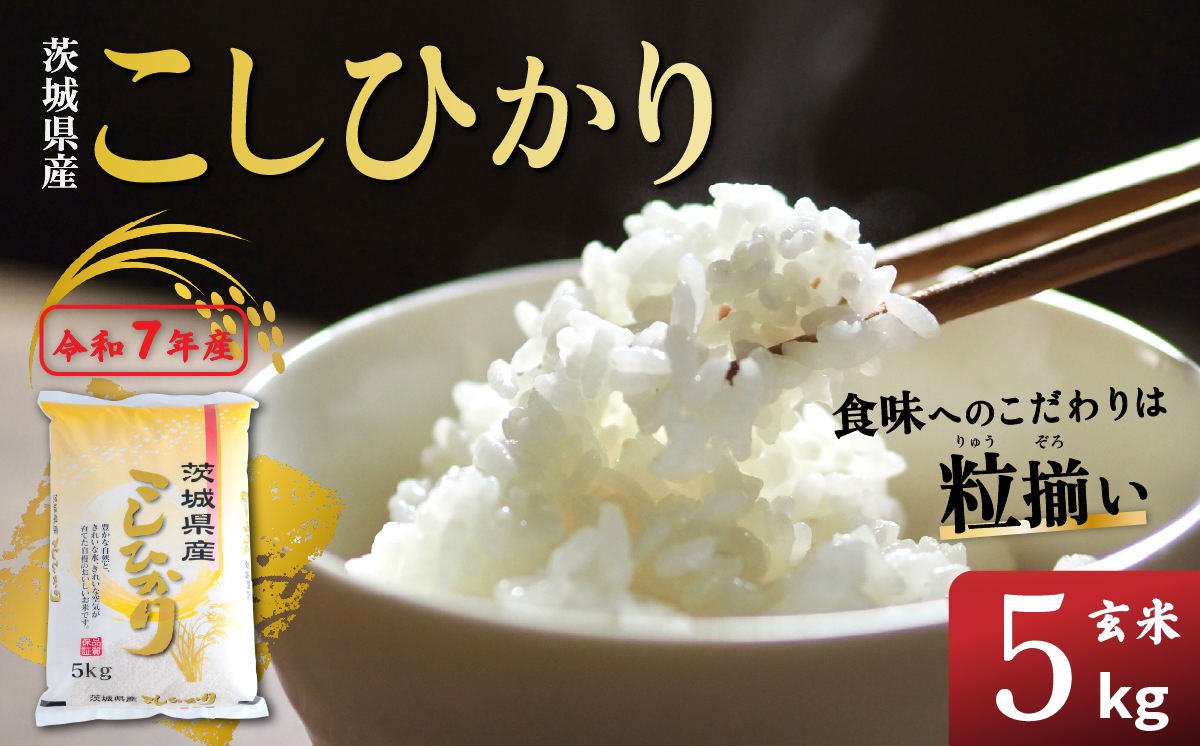 玄米 コシヒカリ 5kg 茨城県下妻市産 【 お米 米 ご飯 こめ コシヒカリ 令和7年産 茨城県産 】 玄米コシヒカリ5kg | 11,000円
