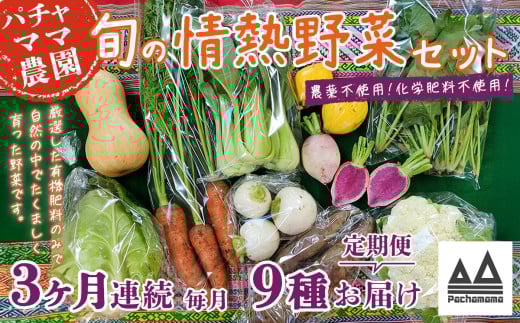 【 3ヶ月連続お届け 】 農園自慢の情熱野菜セット （ 9品 ）【 野菜 詰め合わせ お任せ 季節物 定期便 セット 山芋 パセリ わさび菜 ポップコーン かぶ 人参 里芋 たまねぎ 玉ねぎ ルッコラ ほうれん草 春菊 大根 芽キャベツ レタス じゃがいも さつまいも とうもろこし そら豆 枝豆 パクチー ビーツ ほうれん草 キャベツ ピーマン なすトマト かぼちゃ 】 【3ヶ月】農園自慢の情熱野菜セット(9品) | 30,000円