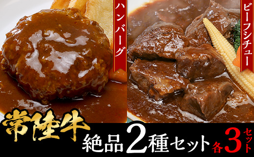 【 常陸牛 】絶品 2種セット （ ハンバーグ ・ ビーフシチュー 各3セット ）【 牛 牛肉 和牛 黒毛和牛 はんばーぐ 小分け デミグラスソース 】[SZR]