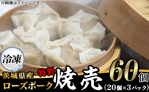 たっぷり60個！ 茨城県産 ローズポークのジューシー 特製 焼売 60個 ( 冷凍 20個 × 3パック ) 【 ジューシー 茨城ブランド豚 ローズポーク 豚肉 小麦 春よ来 使用 もちもち ぷりぷり シュウマイ シューマイ 中華 餃子人気 飲茶 豚肉 】 [SZR]