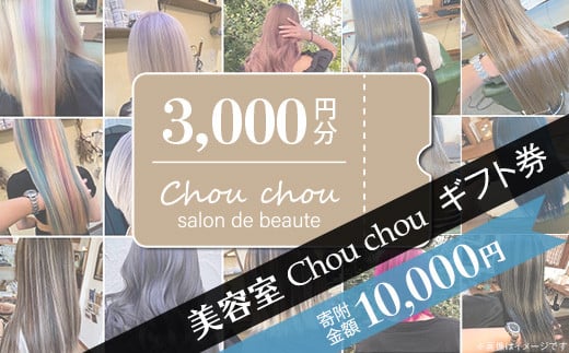 美容室 Chou chou ギフト券 （ 3,000円分 ）【 美容室 美容院 美容体験 ヘアサロン ヘアカット 利用券 ギフト券 美容 髪 シャンプー トリートメント ヘアスタイル 】
