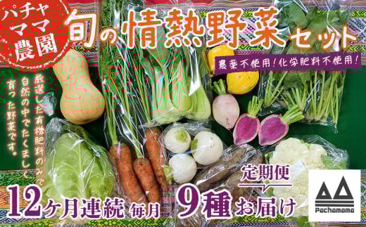 【 12ヶ月連続お届け 】 農園自慢の情熱野菜セット （ 9品 ）【野菜 詰め合わせ お任せ 季節物 定期便 セット 山芋 パセリ わさび菜 ポップコーン かぶ 人参 里芋 たまねぎ 玉ねぎ ルッコラ ほうれん草 春菊 大根 芽キャベツ レタス じゃがいも さつまいも とうもろこし そら豆 枝豆 パクチー ビーツ ほうれん草 キャベツ ピーマン なすトマト かぼちゃ 】 【12ヶ月】農園自慢の情熱野菜セット(9品) | 120,000円