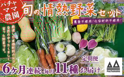 【 6ヶ月連続お届け 】 農園自慢の情熱野菜セット （ 11品 ）【 野菜 詰め合わせ お任せ 季節物 定期便 セット 山芋 パセリ わさび菜 ポップコーン かぶ 人参 里芋 たまねぎ 玉ねぎ ルッコラ ほうれん草 春菊 大根 芽キャベツ レタス じゃがいも さつまいも とうもろこし そら豆 枝豆 パクチー ビーツ ほうれん草 キャベツ ピーマン なすトマト かぼちゃ 】 【6ヶ月】農園自慢の情熱野菜セット(11品) | 72,000円