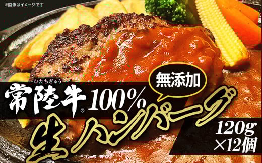 生ハンバーグ 120g × 12個 【 常陸牛 】 100％ 【 牛肉 牛 肉 はんばーぐ 無添加 ブランド牛 冷凍 ブランド 人気 おすすめ 国産 黒毛和牛 】[SZR]