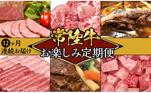 【 定期便 】【 全12回 】 常陸牛 お楽しみ定期便 （ 12ヶ月連続でお届け ）【 常陸牛 和牛 牛肉 定期便 ハンバーグ  国産 贅沢  6か月 6ヶ月 牛 肉 常陸 】[SZR]