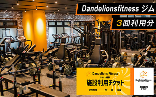 ジム 利用チケット × 3回 （ Dandelionsfitness ）【 利用券 体験 チケット トレーニング 筋トレ 健康 スポーツ ダイエット 】