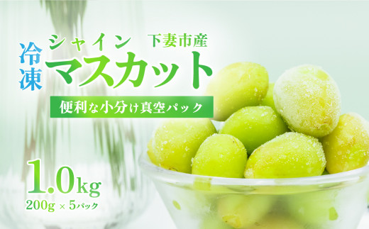 【 訳あり 】 冷凍シャインマスカット 約1kg （ 約200g × 5パック ）【 TV等で話題の凍眠 （ 急速冷凍） 】【 わけあり フルーツ 果物 ぶどう ブドウ 葡萄 茨城県産 国産 農園 人気 スイーツ お取り寄せ 】[SZR]