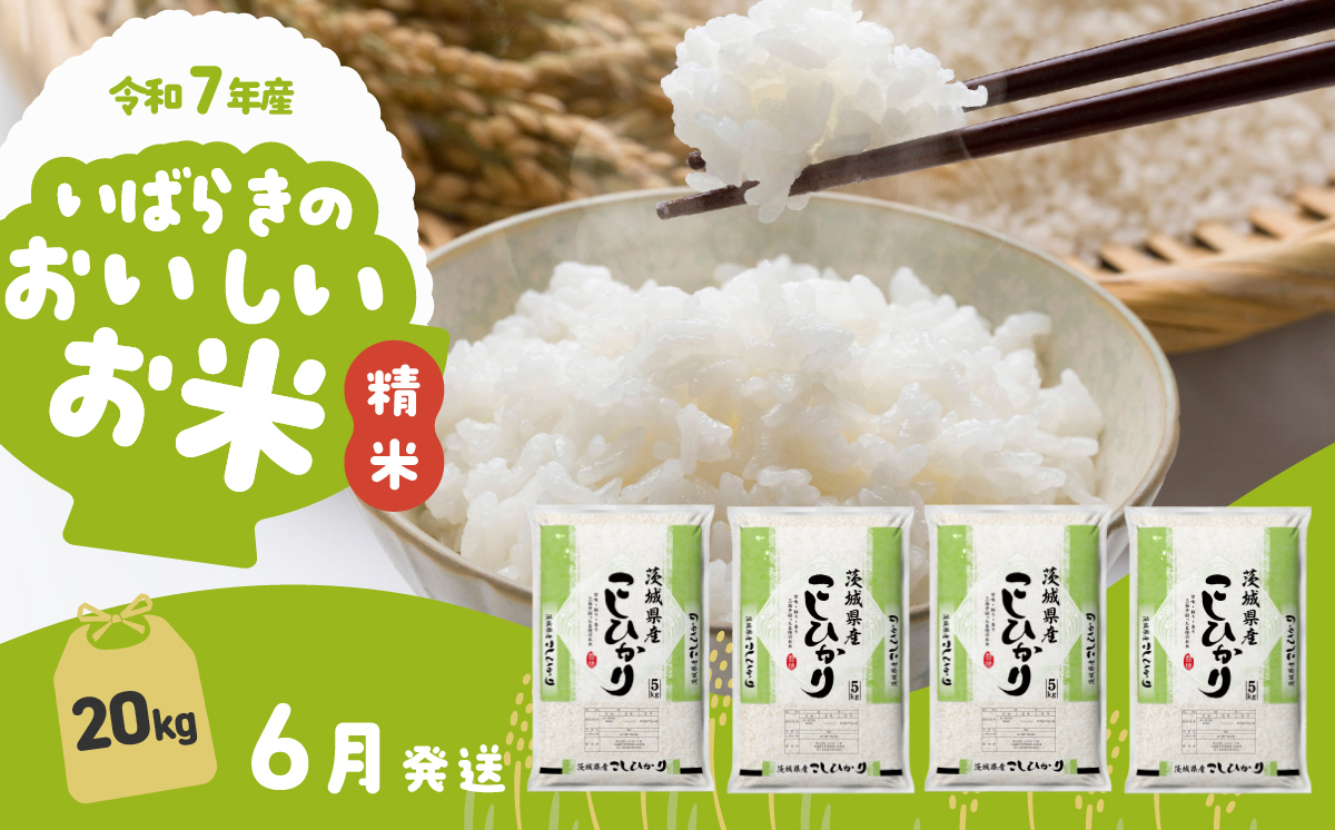 【6月発送】令和7年産 コシヒカリ 20kg 精米 茨城県産 白米 精米 茨城県 お米 米 【6月発送】コシヒカリ20kg | 40,000円