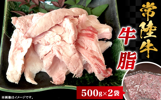 常陸牛 牛脂 1kg 500g × 2袋 茨城県産 ブランド和牛 66-97【 牛 脂 料理 ひき肉 すき焼き コロッケ ハンバーグ 焼肉 】[SZR]
