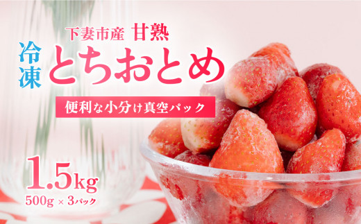 【 訳あり 】 冷凍いちご 1.5kg  ( 500g x 3 ) 甘熟 完熟【2025年4月ごろ発送予定】【 凍眠冷凍 】 Ben‘ｓ Berry  【 いちご イチゴ 苺 とちおとめ 冷凍いちご 便利 甘熟 完熟 甘い ストロベリー 果物 フルーツ 】[SZR]