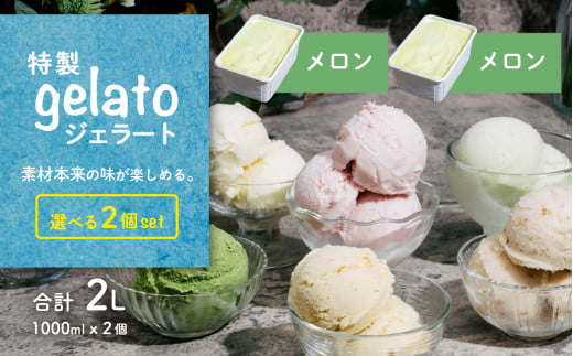 選べる特製ジェラート 1L x 2個 [ メロン ] [ メロン ] 【 アイス ジェラート アイスクリーム デザート スイーツ 組み合わせ自由 業務用 バルク 】 メロン1L × メロン1L | 10,000円