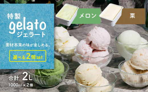 選べる特製ジェラート 1L x 2個 [ メロン ] [ 栗 ] 【 アイス ジェラート アイスクリーム デザート スイーツ 組み合わせ自由 業務用 バルク 】 メロン1L × 栗1L | 10,000円