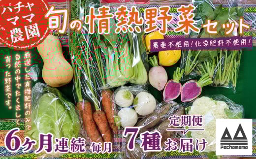 【 6ヶ月連続お届け 】 農園自慢の情熱野菜セット （ 7品 ）【 野菜 詰め合わせ お任せ 季節物 定期便 セット 山芋 パセリ わさび菜 ポップコーン かぶ 人参 里芋 たまねぎ 玉ねぎ ルッコラ ほうれん草 春菊 大根 芽キャベツ レタス じゃがいも さつまいも とうもろこし そら豆 枝豆 パクチー ビーツ ほうれん草 キャベツ ピーマン なすトマト かぼちゃ 】 【6ヶ月】農園自慢の情熱野菜セット(7品) | 48,000円