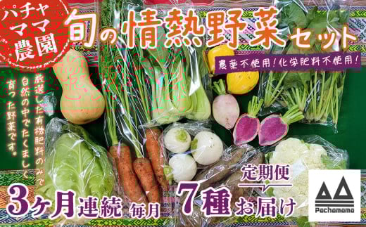 【 3ヶ月連続お届け 】 農園自慢の情熱野菜セット （ 7品 ）【 野菜 詰め合わせ お任せ 季節物 定期便 セット 山芋 パセリ わさび菜 ポップコーン かぶ 人参 里芋 たまねぎ 玉ねぎ ルッコラ ほうれん草 春菊 大根 芽キャベツ レタス じゃがいも さつまいも とうもろこし そら豆 枝豆 パクチー ビーツ ほうれん草 キャベツ ピーマン なすトマト かぼちゃ 】 【3ヶ月】農園自慢の情熱野菜セット(7品) | 24,000円