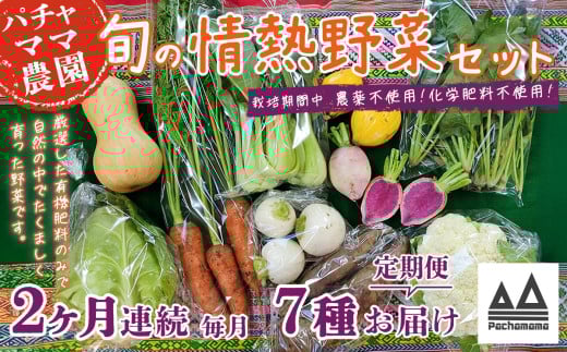 【 2ヶ月連続お届け 】 農園自慢の情熱野菜セット （ 7品 ）【 野菜 詰め合わせ お任せ 季節物 定期便 セット 山芋 パセリ わさび菜 ポップコーン かぶ 人参 里芋 たまねぎ 玉ねぎ ルッコラ ほうれん草 春菊 大根 芽キャベツ レタス じゃがいも さつまいも とうもろこし そら豆 枝豆 パクチー ビーツ ほうれん草 キャベツ ピーマン なすトマト かぼちゃ 】 【2ヶ月】農園自慢の情熱野菜セット(7品) | 16,000円