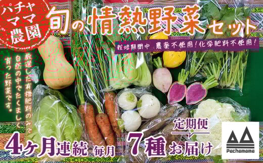 【 4ヶ月連続お届け 】 農園自慢の情熱野菜セット （ 7品 ）【 野菜 詰め合わせ お任せ 季節物 定期便 セット 山芋 パセリ わさび菜 ポップコーン かぶ 人参 里芋 たまねぎ 玉ねぎ ルッコラ ほうれん草 春菊 大根 芽キャベツ レタス じゃがいも さつまいも とうもろこし そら豆 枝豆 パクチー ビーツ ほうれん草 キャベツ ピーマン なすトマト かぼちゃ 】 【4ヶ月】農園自慢の情熱野菜セット(7品) | 32,000円