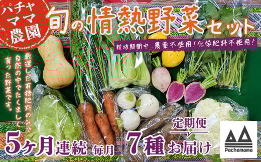 【 5ヶ月連続お届け 】 農園自慢の情熱野菜セット （ 7品 ）【 野菜 詰め合わせ お任せ 季節物 定期便 セット 山芋 パセリ わさび菜 ポップコーン かぶ 人参 里芋 たまねぎ 玉ねぎ ルッコラ ほうれん草 春菊 大根 芽キャベツ レタス じゃがいも さつまいも とうもろこし そら豆 枝豆 パクチー ビーツ ほうれん草 キャベツ ピーマン なすトマト かぼちゃ 】 【5ヶ月】農園自慢の情熱野菜セット(7品) | 40,000円