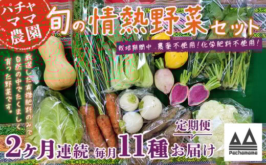 【 2ヶ月連続お届け 】 農園自慢の情熱野菜セット （ 11品 ）【 野菜 詰め合わせ お任せ 季節物 定期便 セット 山芋 パセリ わさび菜 ポップコーン かぶ 人参 里芋 たまねぎ 玉ねぎ ルッコラ ほうれん草 春菊 大根 芽キャベツ レタス じゃがいも さつまいも とうもろこし そら豆 枝豆 パクチー ビーツ ほうれん草 キャベツ ピーマン なすトマト かぼちゃ 】 【2ヶ月】農園自慢の情熱野菜セット(11品) | 24,000円