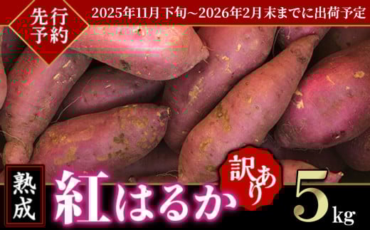 【 先行予約 】【 訳あり 】茨城県 産熟成さつまいも 「 紅はるか 」 5kg 【 2025年11月下旬頃～2026年2月末までに出荷 】【 さつまいも 紅はるか 芋 サツマイモ 甘い 焼き芋 スイートポテト 茨城県産 大容量 不揃い ねっとり 】 紅はるか 5kg | 5,000円 ※発送時期はお選び頂けません。
