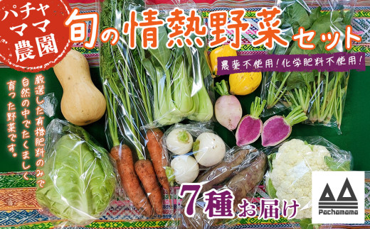 農園自慢の情熱野菜セット （ 7品 ）【 野菜 詰め合わせ お任せ 季節物 セット 山芋 パセリ わさび菜 ポップコーン かぶ 人参 里芋 たまねぎ 玉ねぎ ルッコラ ほうれん草 春菊 大根 芽キャベツ レタス じゃがいも さつまいも とうもろこし そら豆 枝豆 パクチー ビーツ ほうれん草 キャベツ ピーマン なすトマト かぼちゃ 】 【単品】農園自慢の情熱野菜セット(7品) | 8,000円