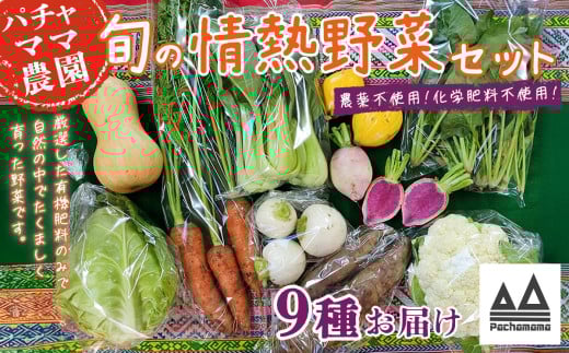 農園自慢の情熱野菜セット （ 9品 ）【 野菜 詰め合わせ お任せ 季節物 セット 山芋 パセリ わさび菜 ポップコーン かぶ 人参 里芋 たまねぎ 玉ねぎ ルッコラ ほうれん草 春菊 大根 芽キャベツ レタス じゃがいも さつまいも とうもろこし そら豆 枝豆 パクチー ビーツ ほうれん草 キャベツ ピーマン なすトマト かぼちゃ 】 【単品】農園自慢の情熱野菜セット(9品) | 10,000円