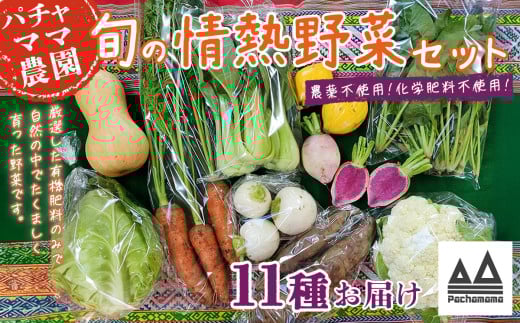 農園自慢の情熱野菜セット （ 11品 ）【 野菜 詰め合わせ お任せ 季節物 セット 山芋 パセリ わさび菜 ポップコーン かぶ 人参 里芋 たまねぎ 玉ねぎ ルッコラ ほうれん草 春菊 大根 芽キャベツ レタス じゃがいも さつまいも とうもろこし そら豆 枝豆 パクチー ビーツ ほうれん草 キャベツ ピーマン なすトマト かぼちゃ 】 【単品】農園自慢の情熱野菜セット(11品) | 12,000円