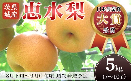 【 第１回全国梨選手権 最高金賞受賞！】茨城県産 「 恵水 」 梨 約5kg 【 2026年8月下旬～9月中旬にかけて発送予定 】【 梨 恵水 なし フルーツ 果物 秋の味覚 デザート 茨城県産 甘い 選手権 最高金賞 】