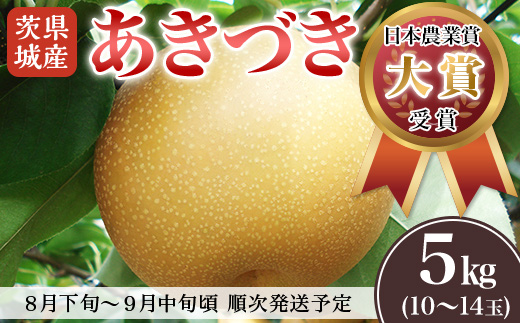 【 先行予約 】 茨城県産 「 あきづき 」 約5kg 【 2026年8月下旬～9月中旬にかけて発送予定 】【 梨 果物 くだもの フルーツ 国産 季節限定 人気 贈り物 お取り寄せ デザート 】