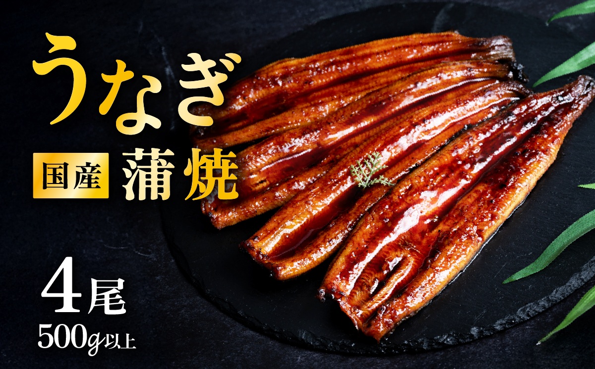 【 02月発送 】 国産 うなぎ蒲焼 上うなぎ4尾 500g以上 山椒付き 鰻 ウナギ たれ タレ たっぷり うな重 鰻重 ひつまぶし 【02月発送】上うなぎ4尾(500g以上) | 14,000円