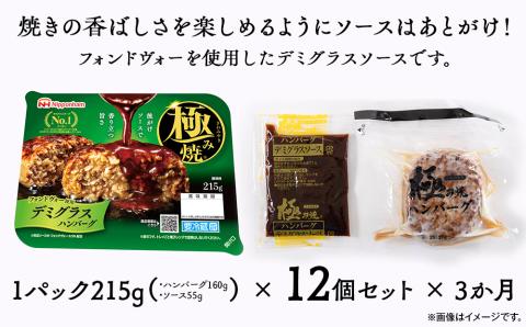極み焼きハンバーグ（デミグラスソース）セット定期便3か月 定期便