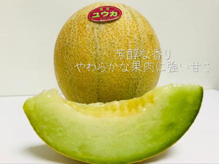 【先行予約】令和7年 優香メロン 3～5玉（約5kg）甘くてジューシーなメロン 幻の優香メロンです！ 中々市場では出回らない稀少な品種です♪ めろん 常総市 フルーツ 果物 ※2025年6月中旬～6月下旬頃に順次発送予定 ※沖縄・離島への配送不可