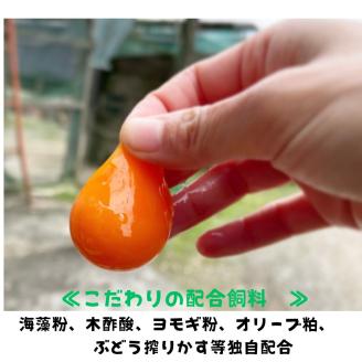 【天王原のたまご】ロイヤル卵50個入り